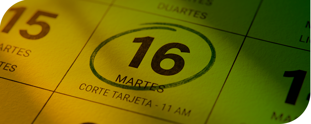 Imagen-6